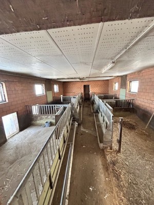 (Schweine)Stalleinrichtung