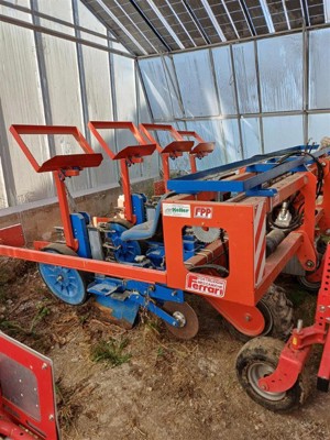 Ferrari FPP Pflanzmaschine Bj. 2022