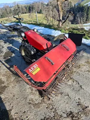 Aebi Bandeingraser Am 41 Motormäher