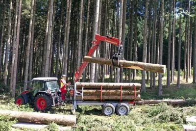 Rückewagen Forstanhänger Schlang & Reichart SR 800