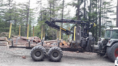 Palms HMWD 3.2 Rückeanhänger