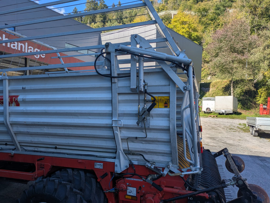 661758cc-f170-4e84-857b-9c7a0531e646-WhatsApp Bild 2025-10-02 um 15.jpg