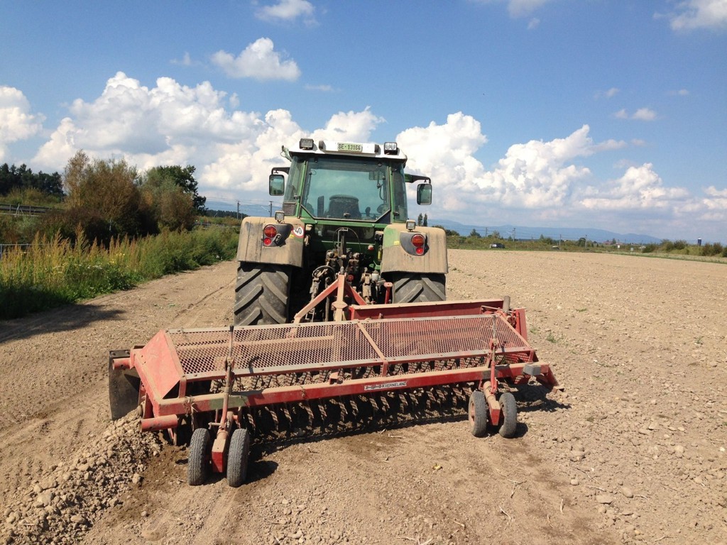 378272db-cab2-46db-83f4-f7ce435ecb93-WhatsApp Bild 2025-09-13 um 11.jpg