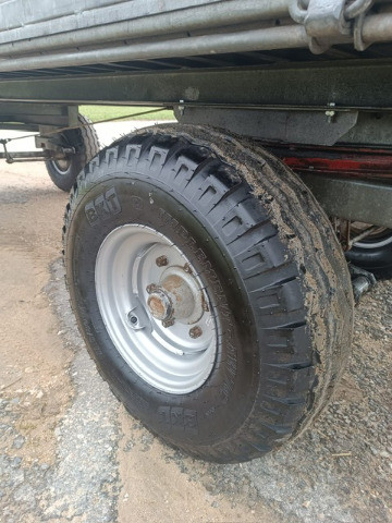 e309709b-bff1-4820-b99f-78431a7e4f0c-Marolf 8.jpg