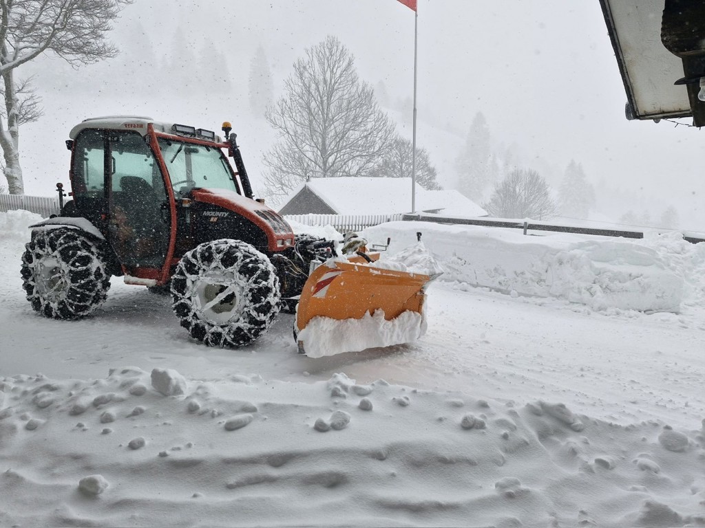 8b87be09-c3c9-4c0a-a688-ebe0216c828f-Fliegl 1.jpg