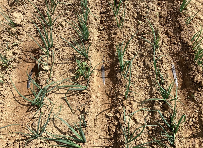 7f3f2c46-177f-41eb-b36a-f6c5e71aa2ef-IMG_5418 - Kopie.JPG