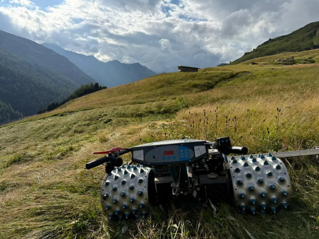 97266887-4a61-4cb1-8115-bcabc5b96f3a-WhatsApp Image 2026-02-14 at 11.jpg