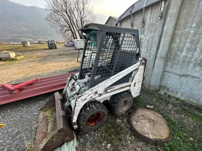 Bob Cat