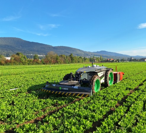 c405263c-bc1b-4f44-96bb-15efe27045dd-