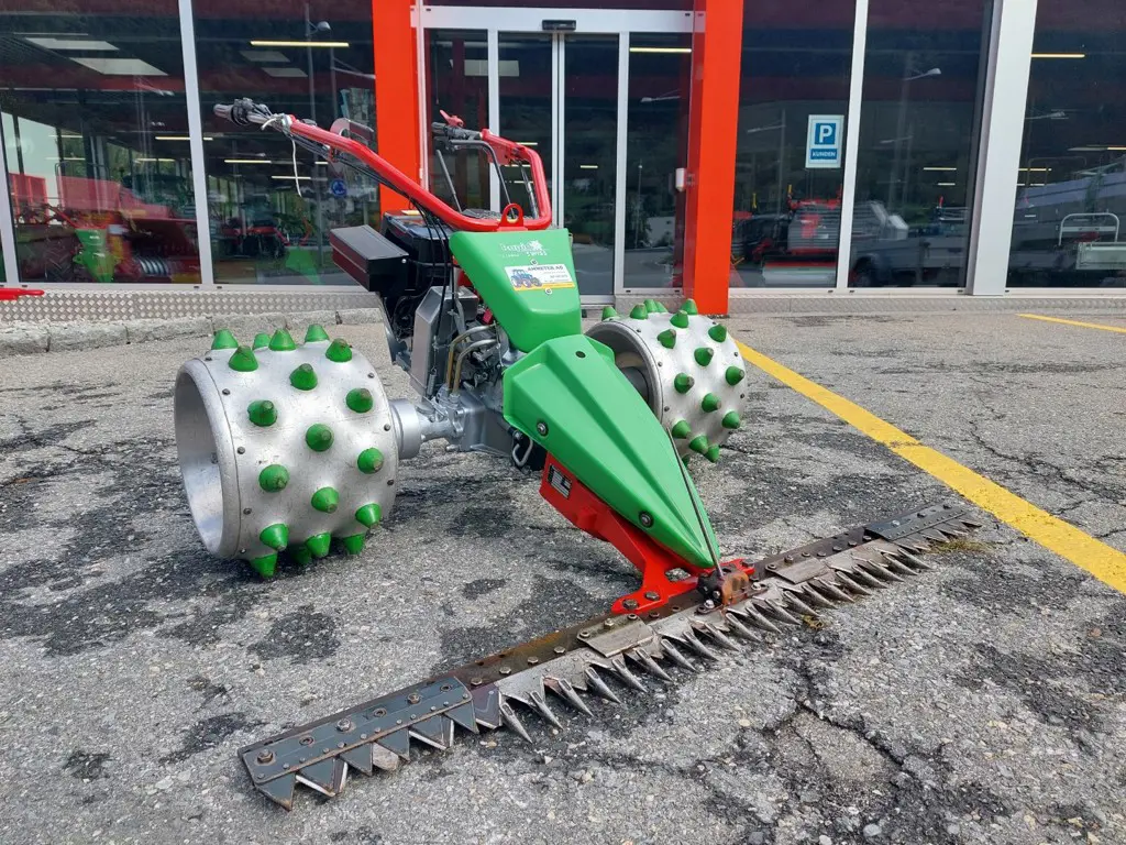 8c3c1e2a-39e5-4247-a295-72e3d4a7f482-20260825_102140.jpg