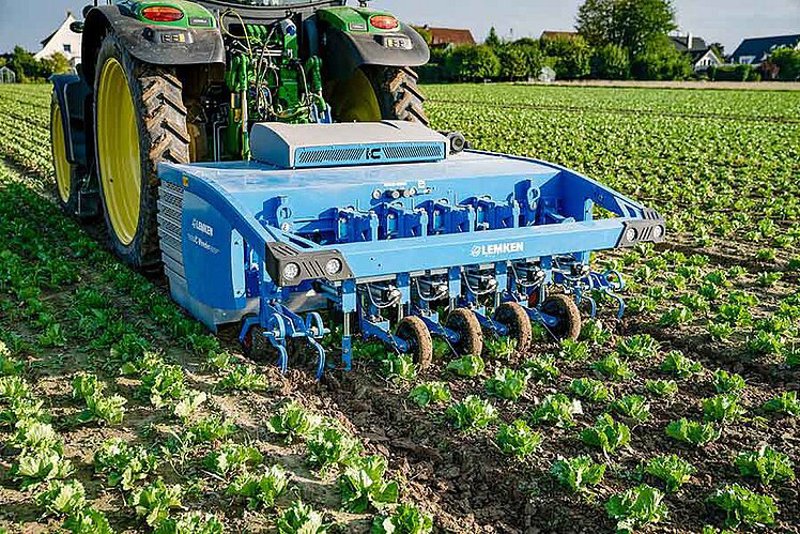 a1ff4a93-4969-459f-99a6-425961031c40-csm_gemuese-mechanische-unkrautbekaempfung_91fea9d943.jpg
