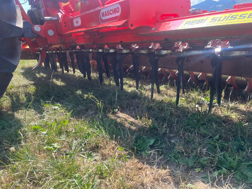 b2de5880-9a0b-4ddd-8fa0-ccab279d660c-Maschio 5.jpg