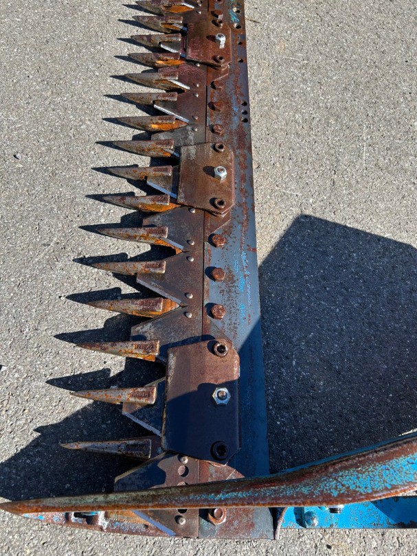 fad6617a-7ca6-4550-b735-ba28c65a2b61-Foto 07.10.25, 11 28 54.jpg