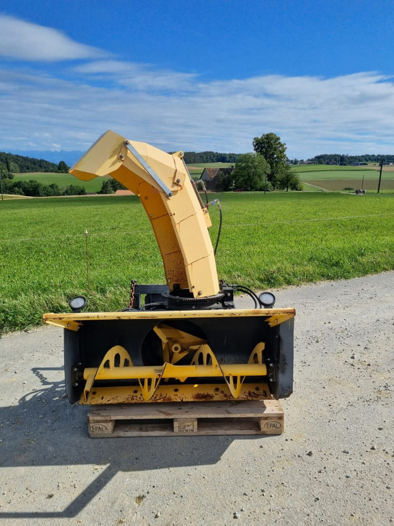 6eb54a89-4515-4b75-9387-d28ee87fe8bc-Trejon (6).jpg