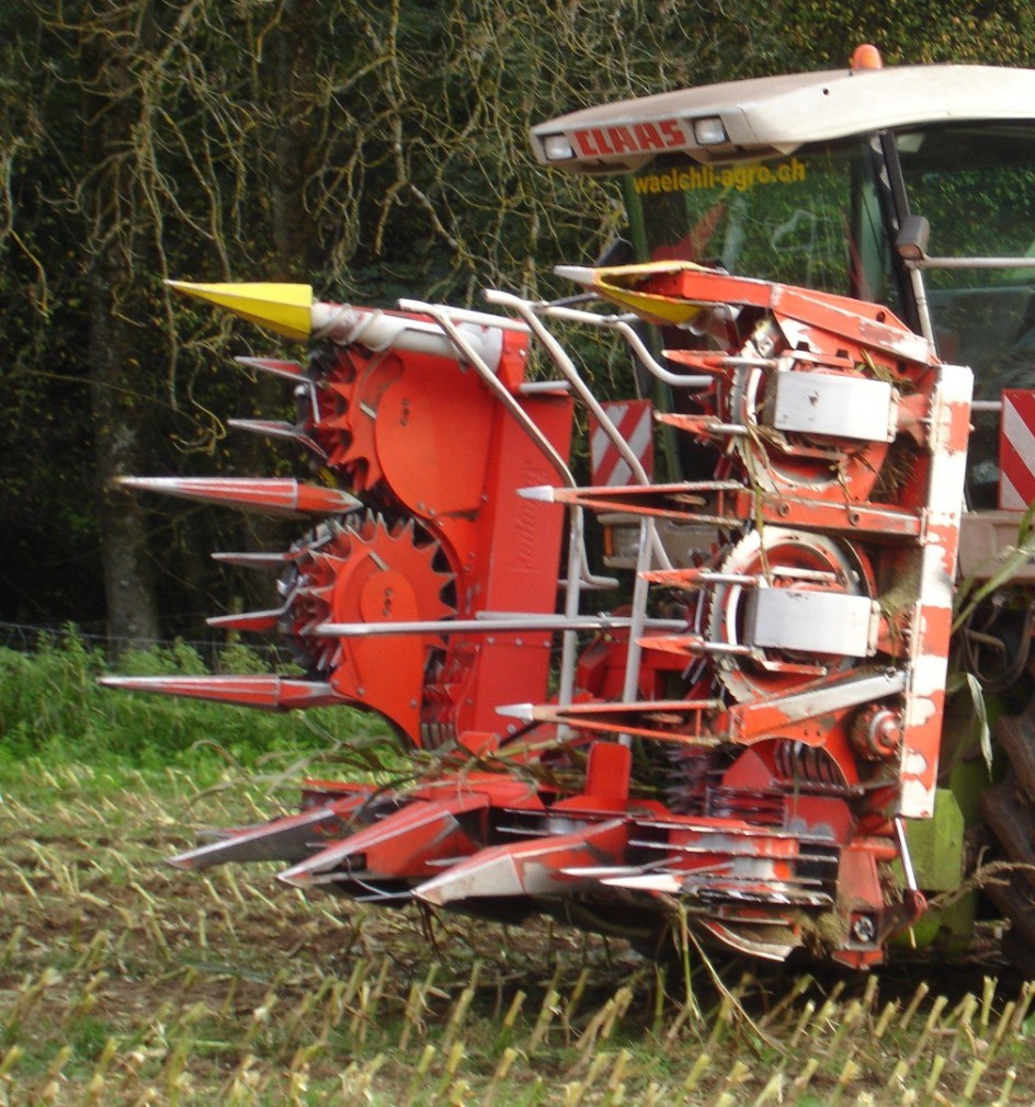 b9862372-bc3d-4285-8ab9-3f79cbb85c06-05.05.2013 786.jpg