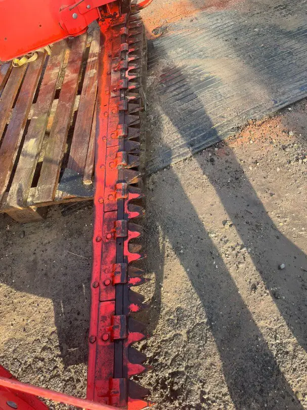 7ad0e1d5-9e49-4238-88e5-5f34dfc27ca6-WhatsApp Image 2026-03-08 at 13.56.49 (4).jpg