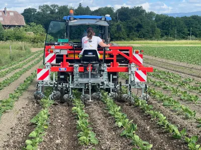 Hackgerät Oliver Agro 6x50 // 4x75