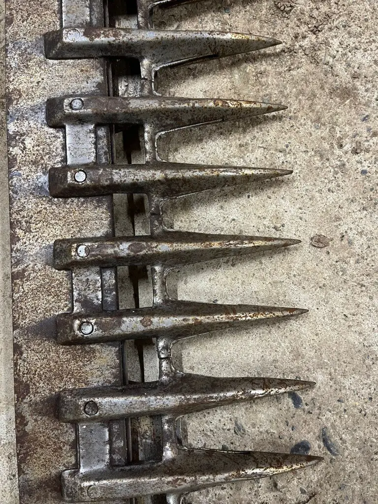 40a3d529-f859-4f98-8ef6-07ff00679325-WhatsApp Image 2026-02-24 at 16.jpg