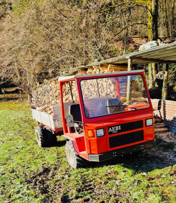 AEBI TP 27 occasion - Winteraktion