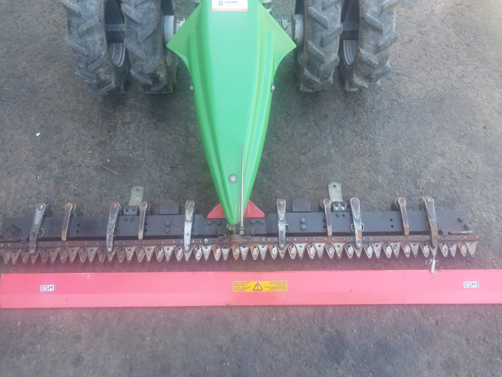 39392996-e911-48d4-92fd-2d743c56fc51-WhatsApp Bild 2025-07-11 um 09.jpg