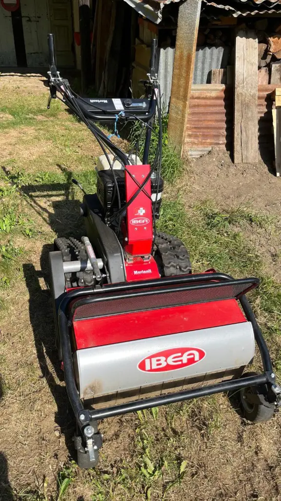 Trinciasarmenti IBEA IB 842 HD occasione