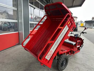 Elektro Lastendreirad Carello LDR 35 MF