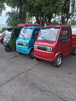Cargo Runner Toro Elektrofahrzeug Kleintransporter