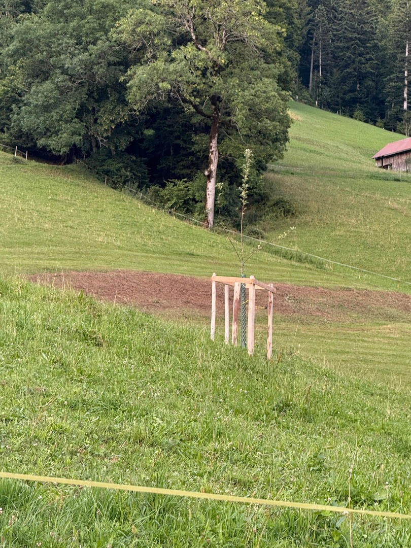 b478f8d8-8a63-4d61-aa88-bc61b2c240a6-MULCHY FK 150 an IBEX (3).jpg