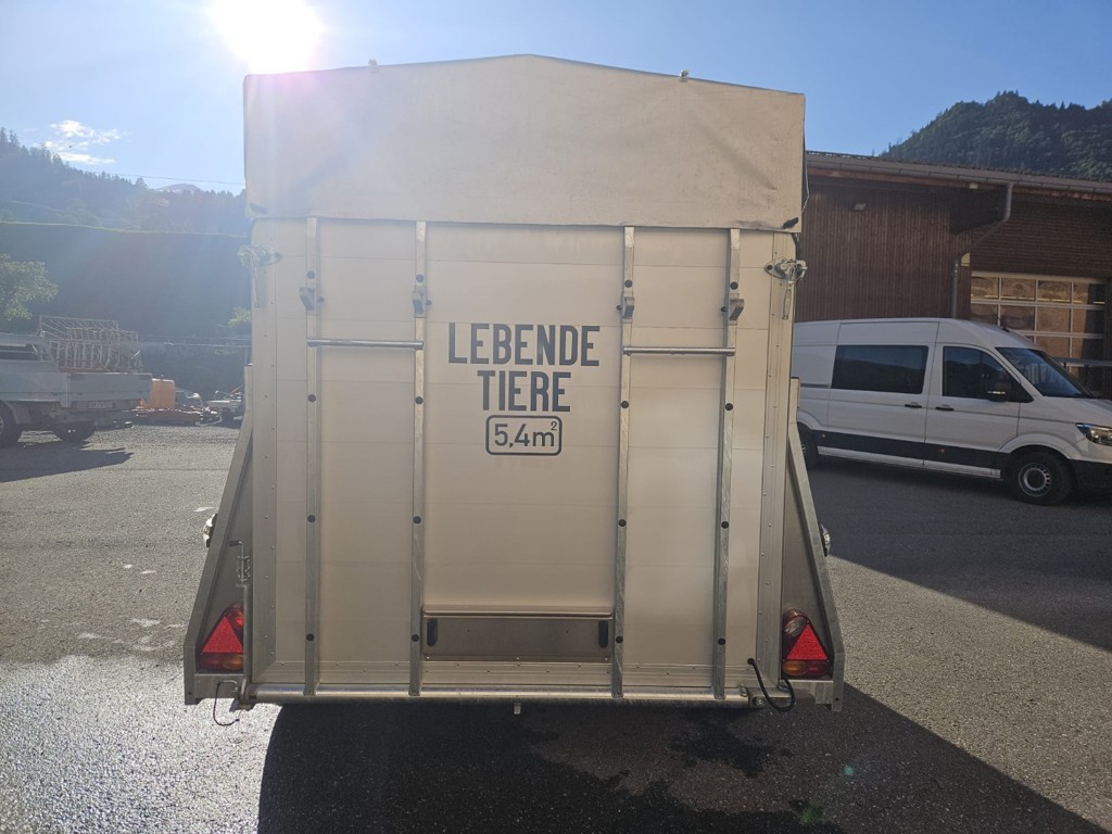 edccf6de-351f-4ab7-be8b-4ce68b5d9c09-WhatsApp Bild 2024-09-18 um 17.jpg