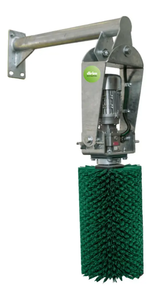 03b987a1-7e9a-435d-8a62-2f04a18dea17-Kratzbürste MiniSwing.jpg