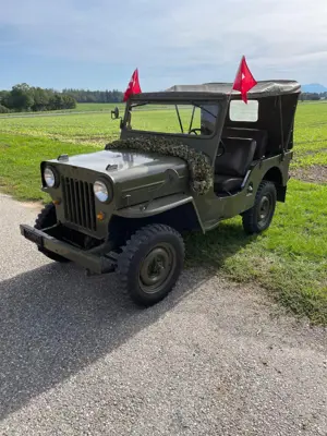 Jeep willys