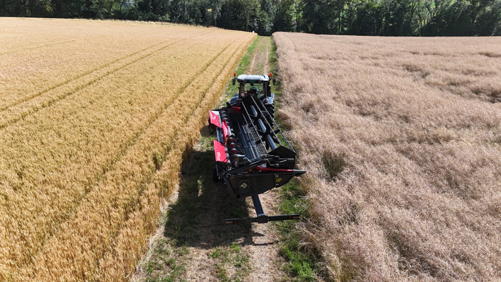 ed600bbc-84a0-4885-9605-6bf7bf850a65-DJI_20250708224804_0196_D (3) Full HD (Gross)).jpg