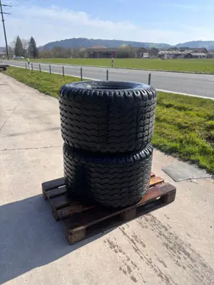 Reifen BKT AW 708  500/50 17"