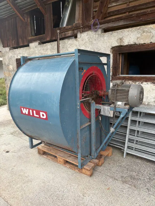 Heulüfter Wild, 10 PS