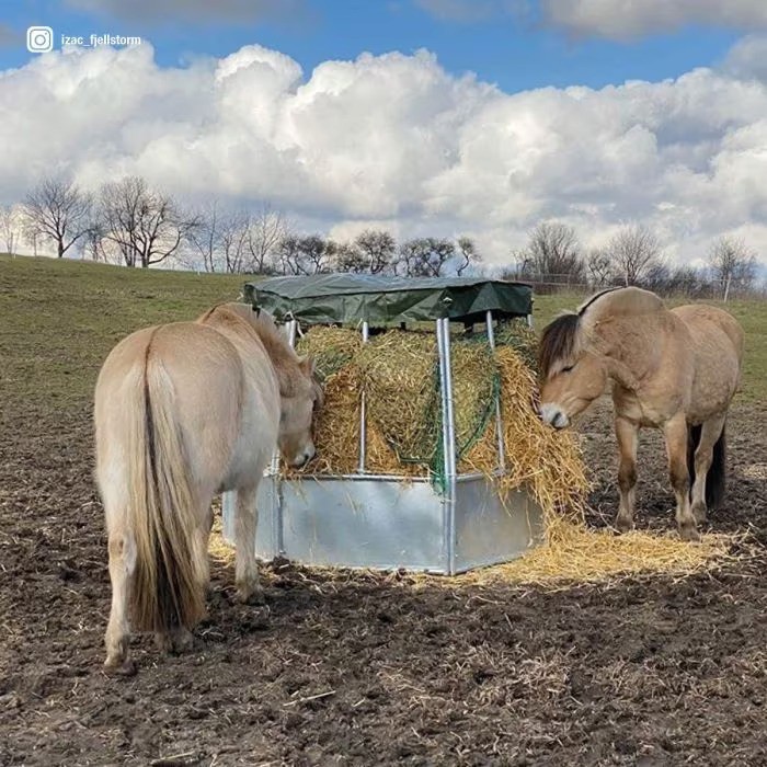 88ae1b3a-9128-4d46-a0a7-6264bce83531-4 conv.jpg