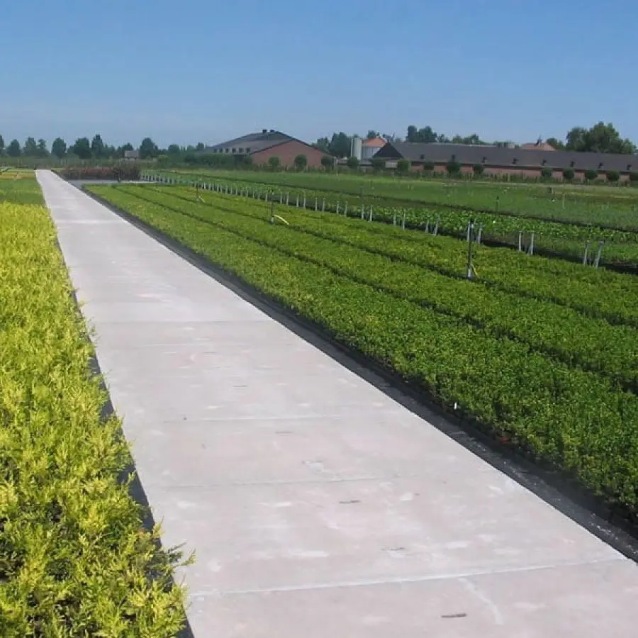 64f8c064-642b-4c48-92df-d6bb39a2c38f-produkte_ground-agricon_01-qrtnmnsey5qns2qby01uyei2ploq5hyj6f2zt9a04o conv.jpg