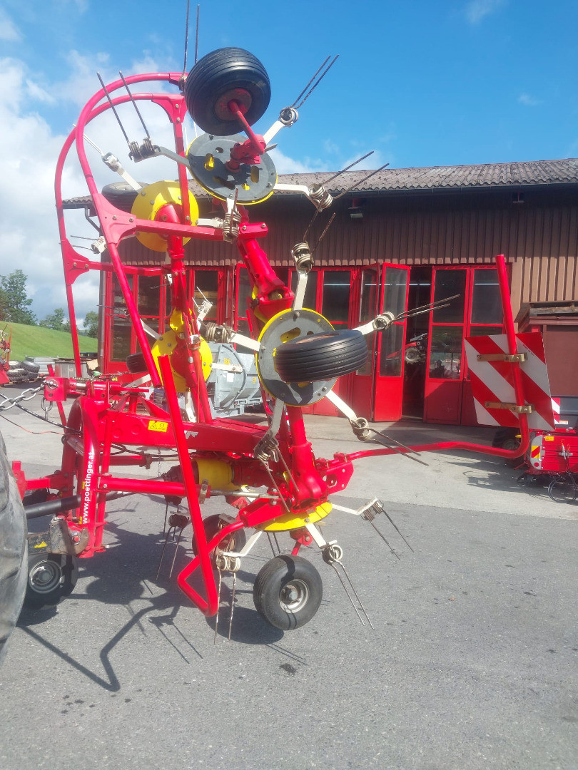 0aca1570-872f-4440-93db-08945af5526d-WhatsApp Bild 2025-07-09 um 09.jpg