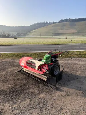 Motormäher Rapid Euro 3 Alu mit Compact Eingraser