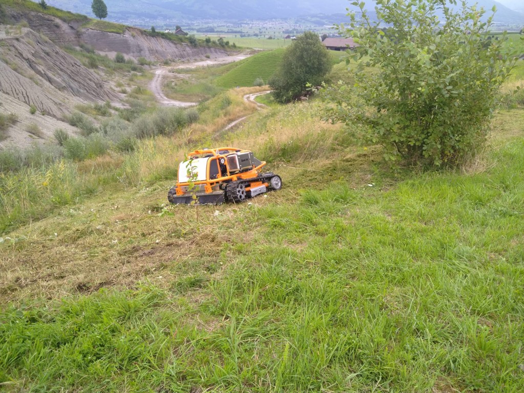 d4c07700-05fc-45a0-a768-69709094fc24-WhatsApp Image 2021-08-25 at 18.03.40 (5).jpg