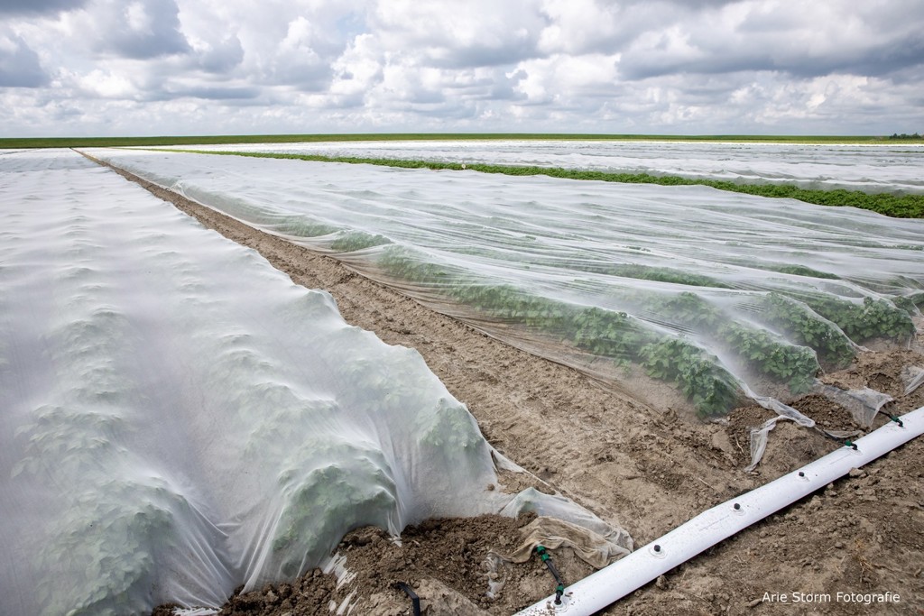 7f75c7eb-c52c-4b42-9875-3c1759d6e3a1-MoM VLies 2.jpg