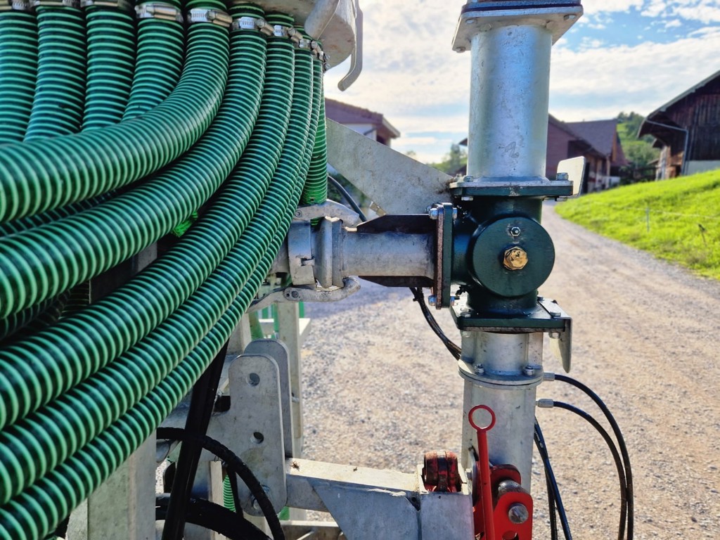 50751efb-a0fc-46c5-b2a7-6c7b13d891a7-WhatsApp Image 2025-08-05 at 15.jpg