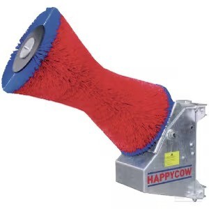 Kuhbürste / Kratzbürste