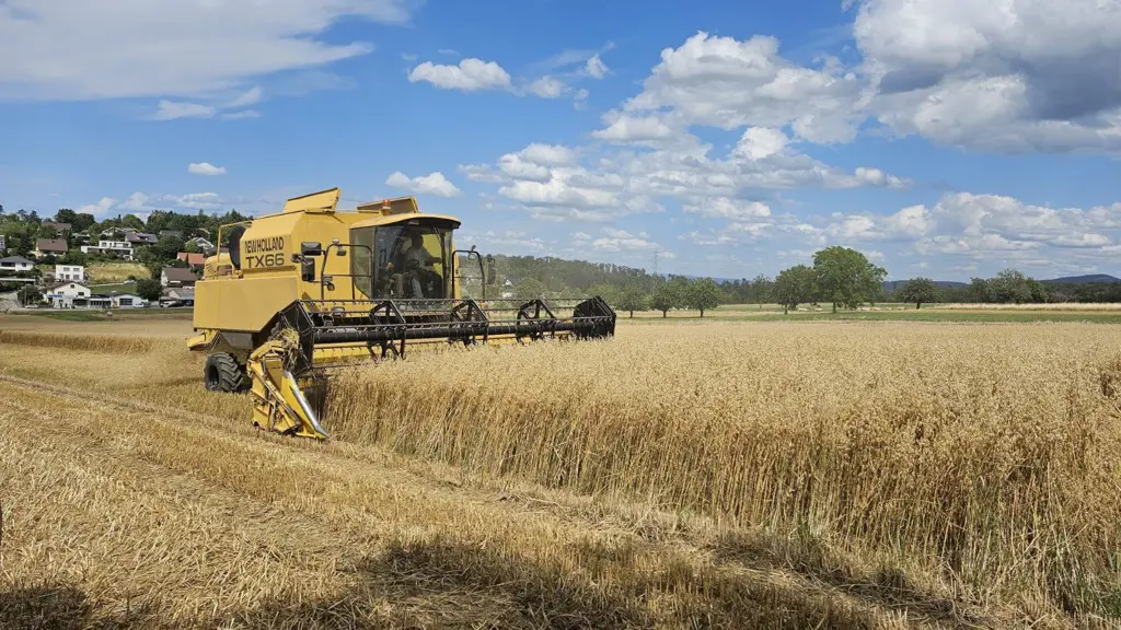 ce404991-1382-4979-93cb-30c883f5ac60-Getriede dreschen.jpg