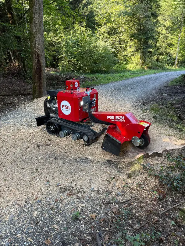 e55d7a0b-e994-477b-86b4-801bfb9beae8-WhatsApp Image 2025-08-25 at 18.jpg