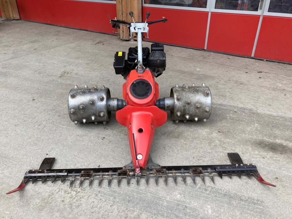 5f513a5a-8b81-4f16-a409-cbe200b2b8f4-WhatsApp Image 2025-12-22 at 17.jpg