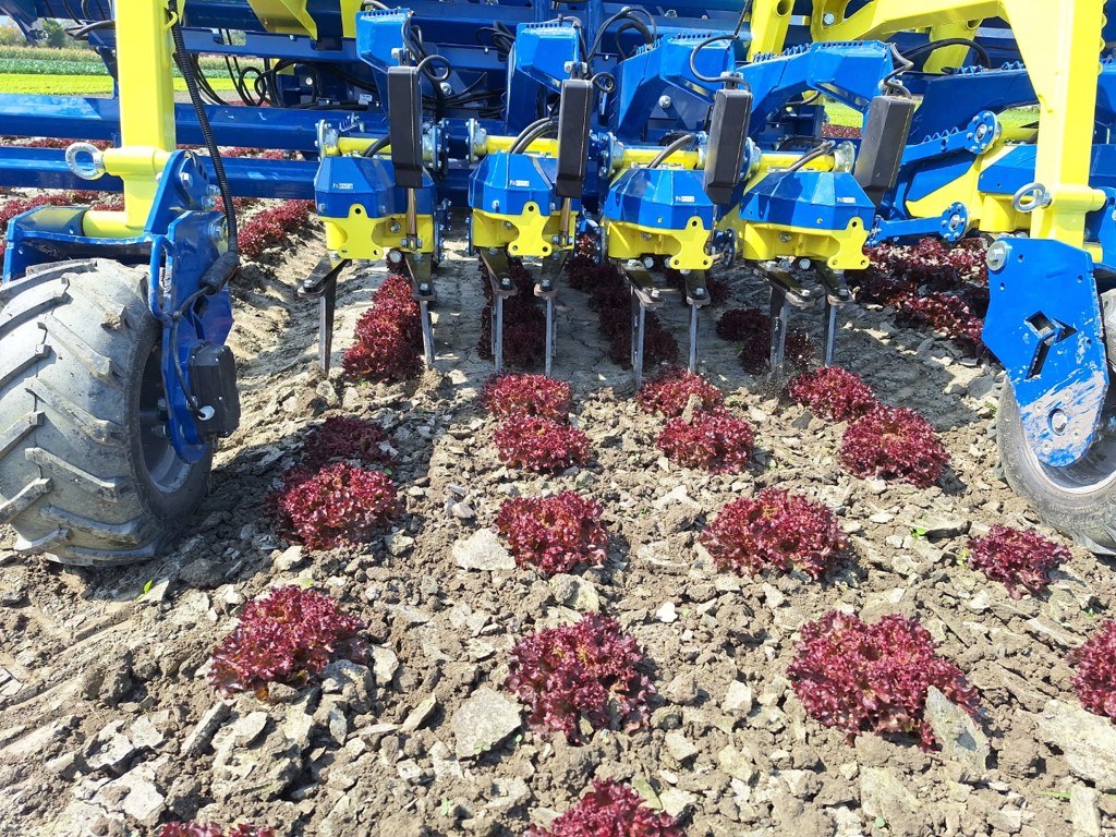 fd032bef-0a4e-40d9-bf2c-4605948b90ce-WhatsApp Bild 2024-10-09 um 14.png