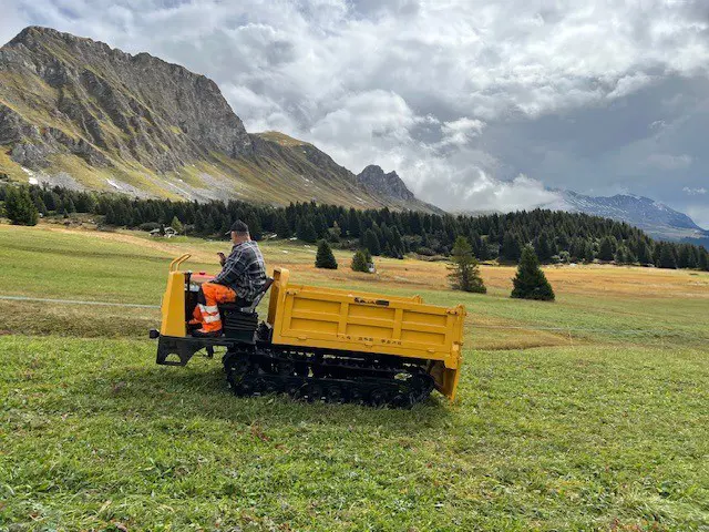 Raupenkipper 3to Ladegewicht