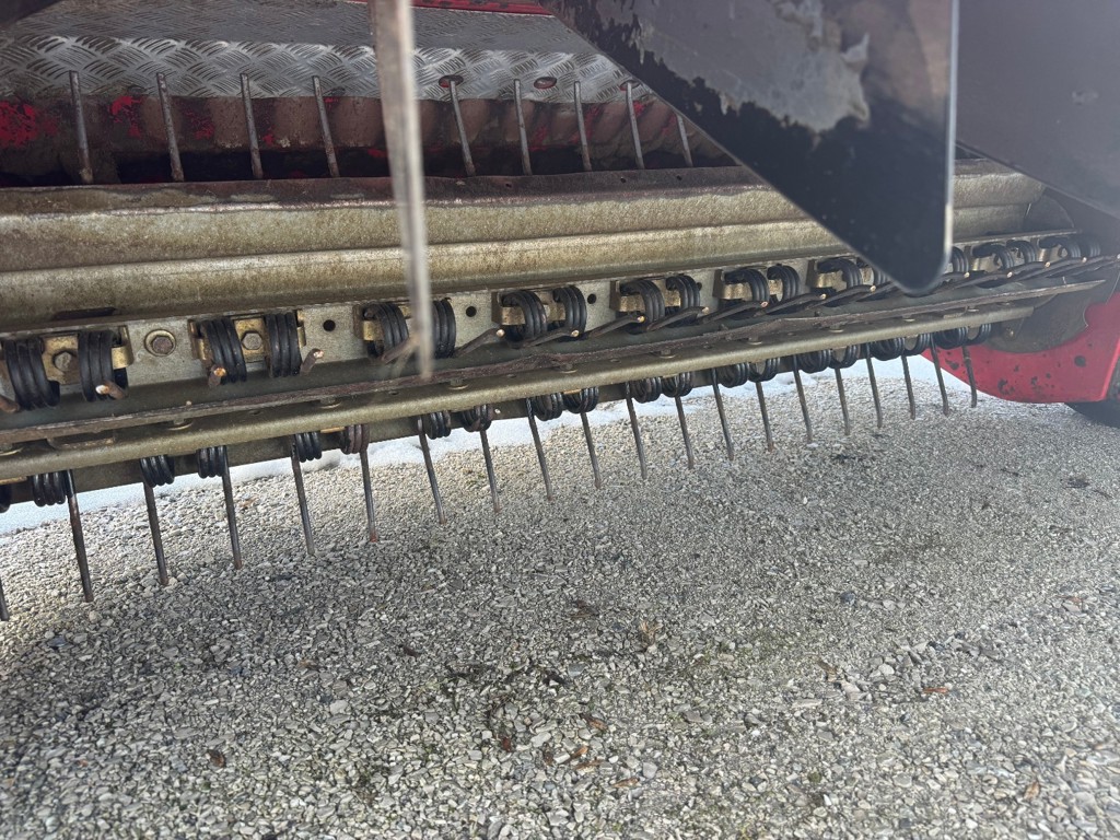 bd1bc8a6-4070-44cf-a321-e0eb11cec3ba-Photo 13.01.26 15 53 25.jpg