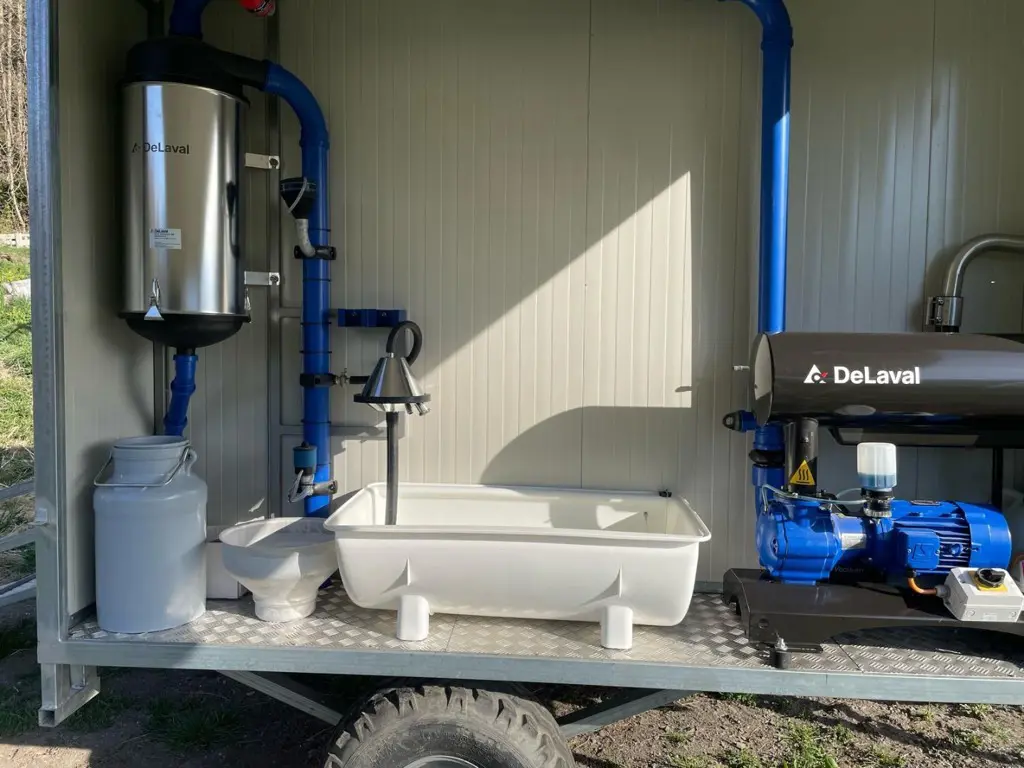 11c56d9a-4e0d-4f38-bdd8-a64a1ed53442-e71b67b5-402a-4442-8ab6-a40251c6d25f 2.jpg