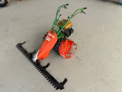 Agria 5400 Robin 4T